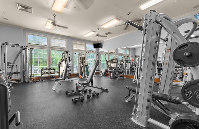 gym featuring a ceiling fan and crown molding
