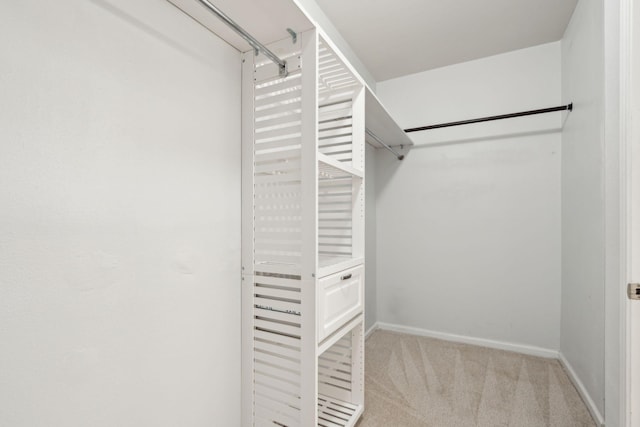 walk in closet featuring light colored carpet