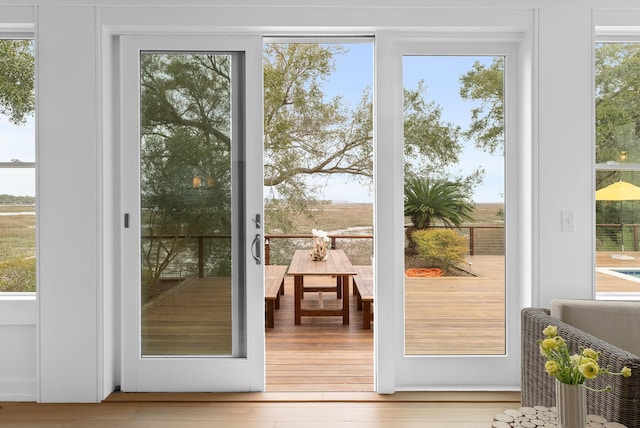 doorway to outside featuring wood-type flooring