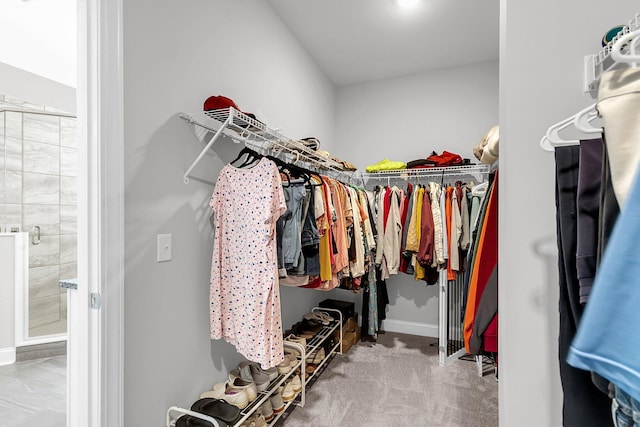 spacious closet featuring carpet floors