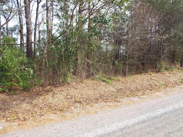 Listing photo 3 for 0 Dennis Dr Lot 26, Goose Creek SC 29445