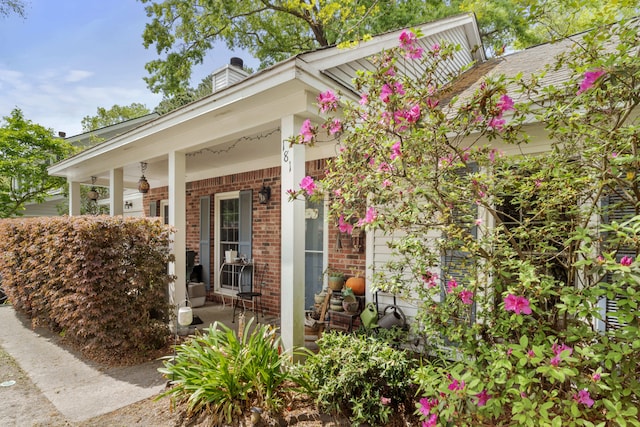 view of exterior entry with brick siding and a porch