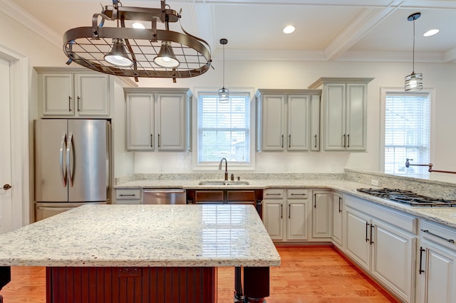 kitchen featuring stainless steel appliances, light hardwood / wood-style floors, plenty of natural light, and sink