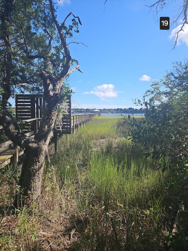 view of yard featuring a rural view