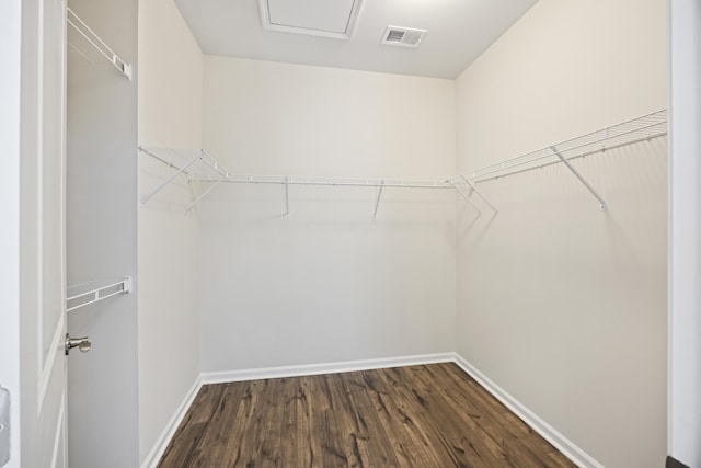 walk in closet featuring dark wood-type flooring and visible vents