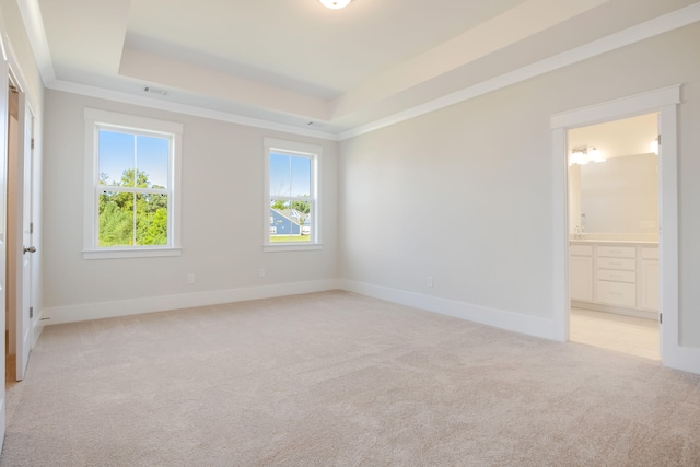 spare room with a raised ceiling and light colored carpet