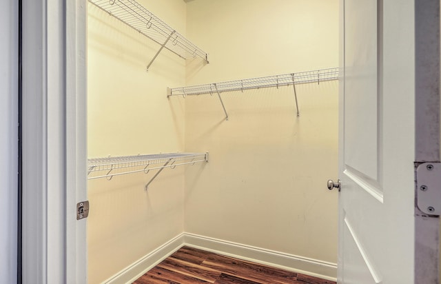 walk in closet featuring dark wood-type flooring