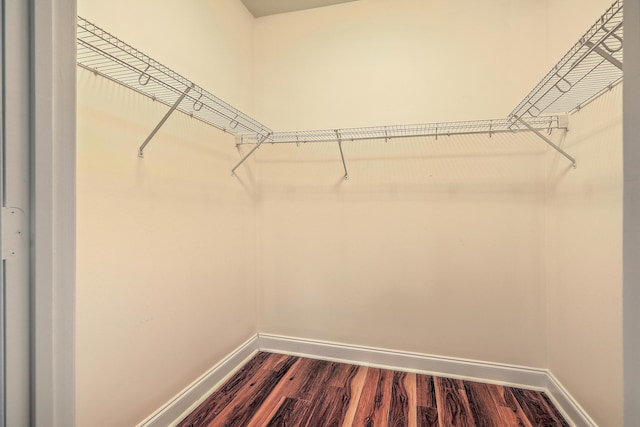 spacious closet with dark wood-style flooring