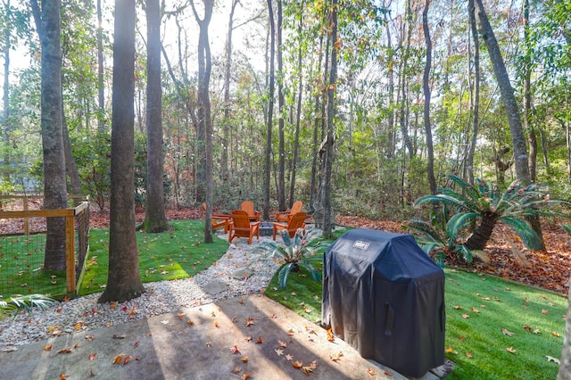 view of yard featuring a patio