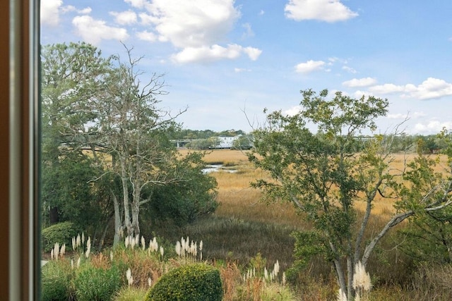 view of local wilderness featuring a rural view