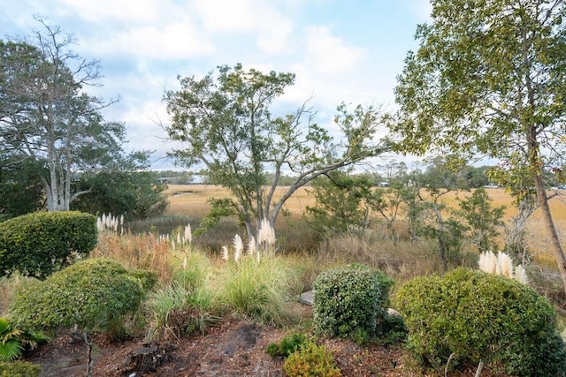 view of yard featuring a rural view