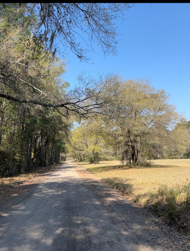 Listing photo 3 for LOT3 Old Military Rd, Adams Run SC 29426