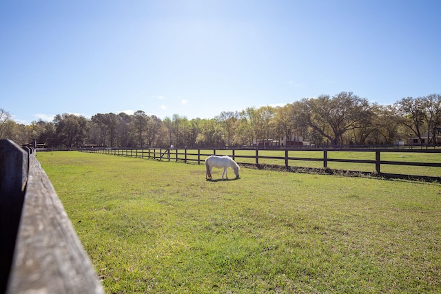 view of yard with a rural view