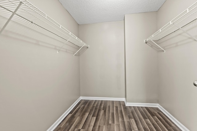 spacious closet with wood finished floors