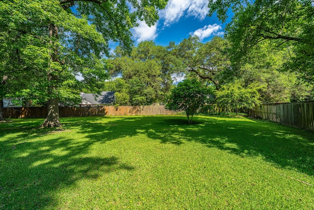 2650 Summer Leaves Ct, Charleston, SC 29414 - view of yard