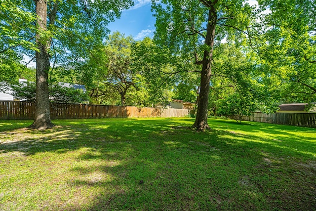 2650 Summer Leaves Ct, Charleston, SC 29414 - view of yard