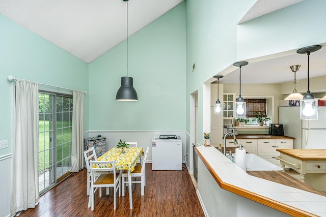 2650 Summer Leaves Ct, Charleston, SC 29414 - kitchen with high vaulted ceiling, freestanding refrigerator, dark wood-type flooring, a sink, and butcher block counters