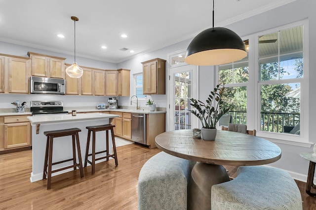 kitchen with light hardwood / wood-style floors, a wealth of natural light, pendant lighting, and appliances with stainless steel finishes