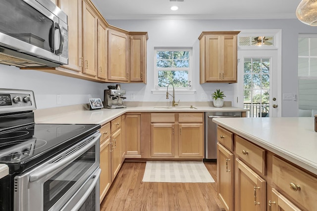 kitchen featuring appliances with stainless steel finishes, light wood-type flooring, plenty of natural light, and sink