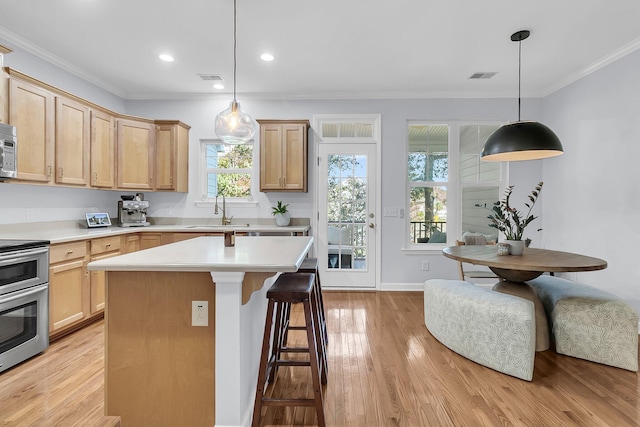 kitchen with stainless steel appliances, pendant lighting, a healthy amount of sunlight, and light wood-type flooring