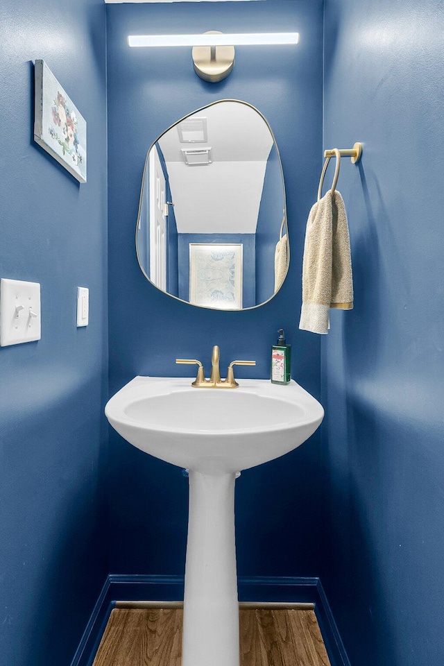 bathroom with wood-type flooring