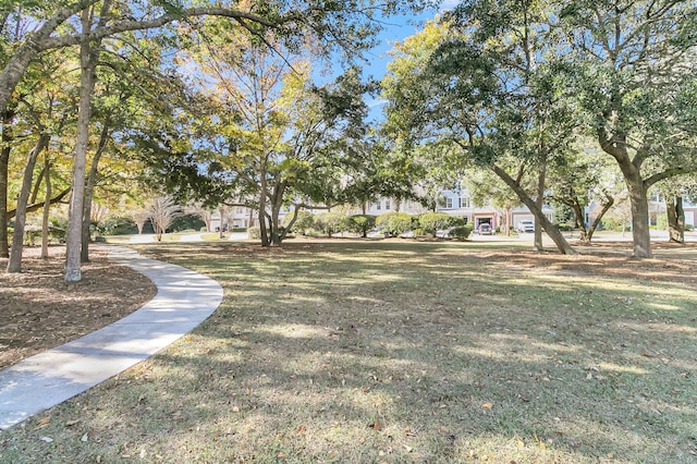 view of home's community with a lawn