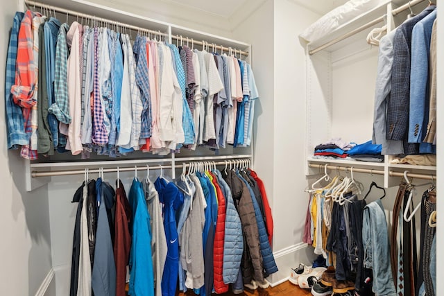 view of spacious closet