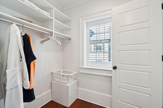 walk in closet with dark wood-type flooring