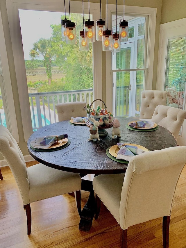 dining room featuring a healthy amount of sunlight and light hardwood / wood-style flooring