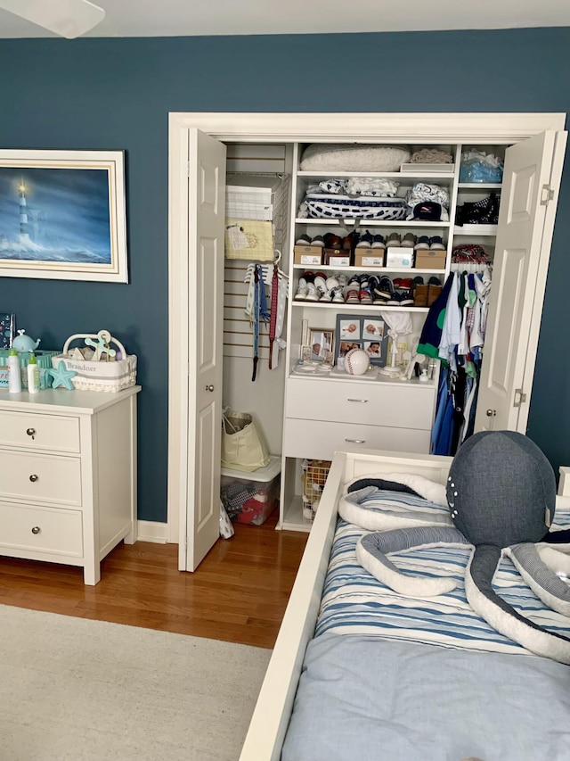 bedroom featuring a closet and wood-type flooring