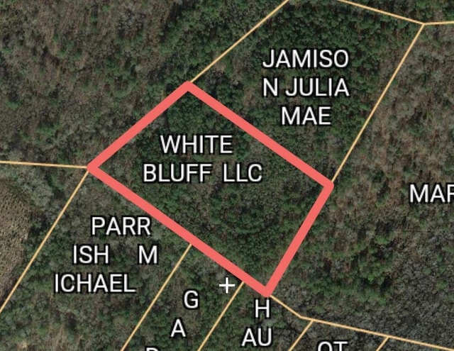 0 Calhoun Rd, Branchville SC, 29432 land for sale