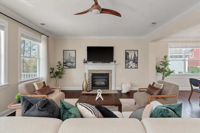 living area featuring dark wood finished floors, visible vents, crown molding, and a ceiling fan