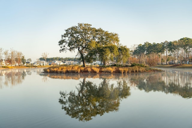 property view of water