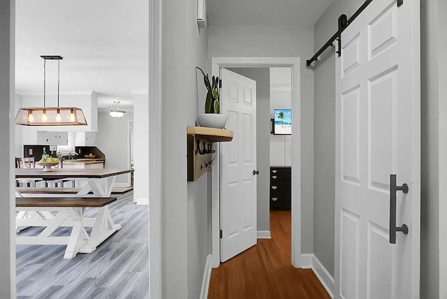 1113 Smithfield Pl, Hanahan, SC 29410 - hall featuring a barn door, baseboards, and wood finished floors
