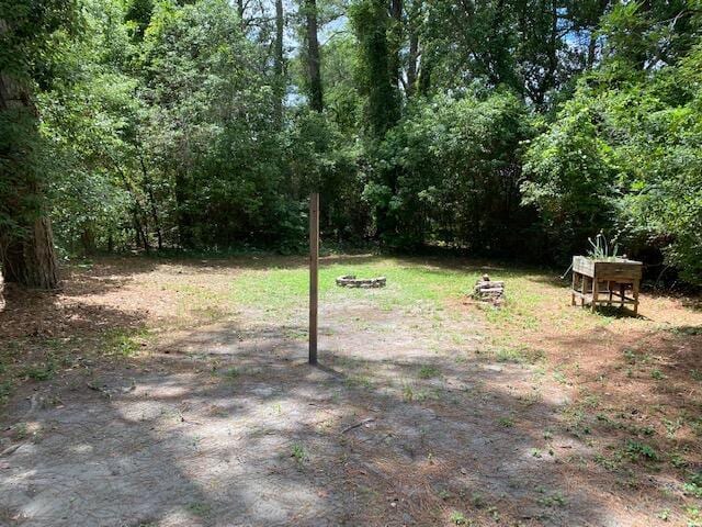 418 Meritta Ave, Beaufort, SC 29902 - view of yard featuring a view of trees