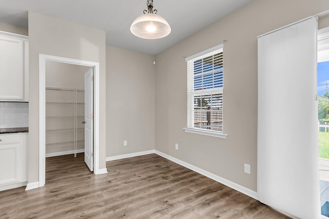 5138 Preserve Blvd, Ladson, SC 29456 - unfurnished bedroom featuring light wood-style floors, multiple windows, and a spacious closet