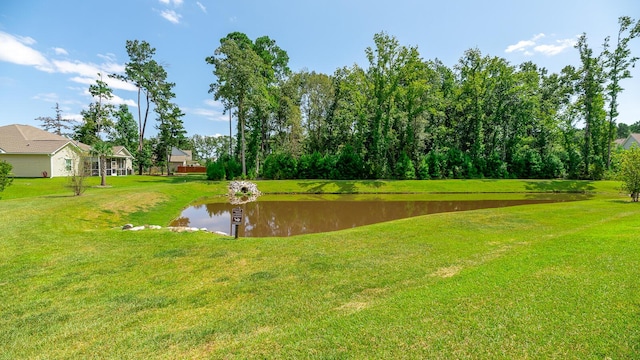 5138 Preserve Blvd, Ladson, SC 29456 - view of community with a water view and a yard