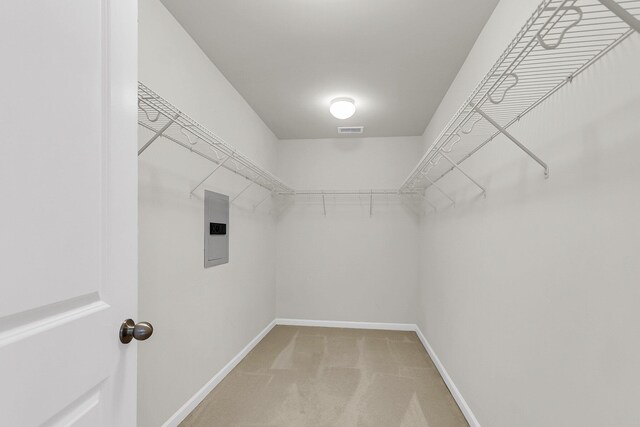 5138 Preserve Blvd, Ladson, SC 29456 - spacious closet with light carpet and electric panel