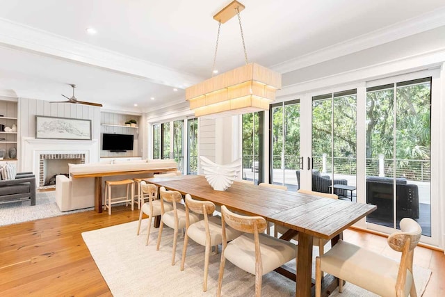 dining space with a healthy amount of sunlight, ceiling fan, light wood-type flooring, and ornamental molding