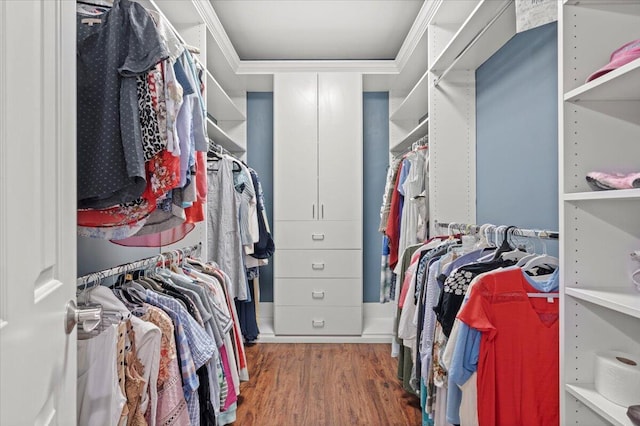 spacious closet featuring wood finished floors