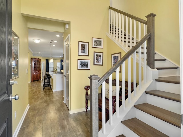 stairs with hardwood / wood-style flooring