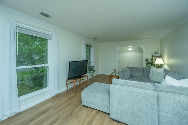 living room featuring light hardwood / wood-style flooring and ornamental molding