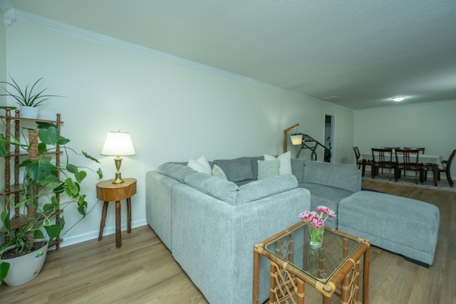 living room featuring crown molding and hardwood / wood-style flooring