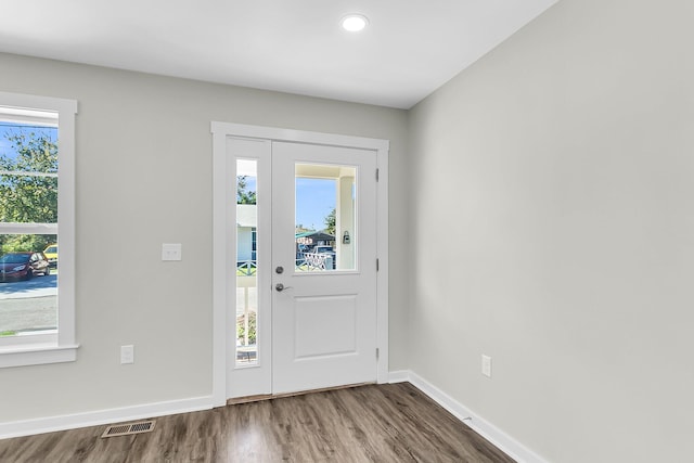 foyer entrance featuring wood-type flooring