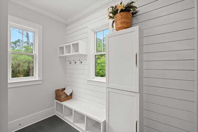 mudroom with crown molding and wood walls