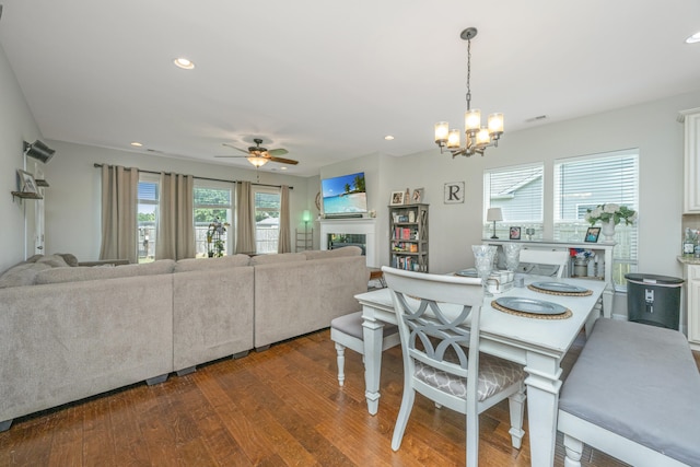 dining space with hardwood / wood-style flooring, ceiling fan with notable chandelier, and a healthy amount of sunlight