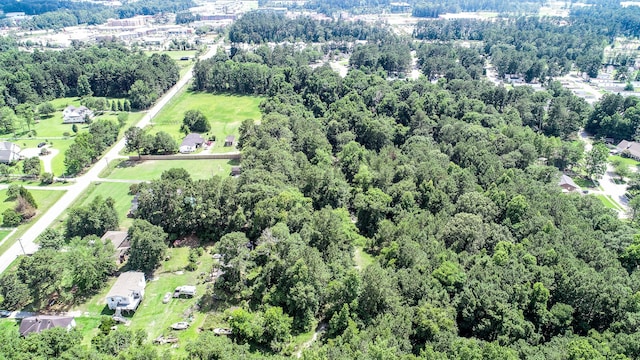 view of bird's eye view