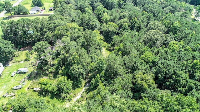 view of bird's eye view