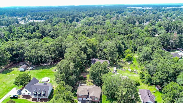 view of bird's eye view