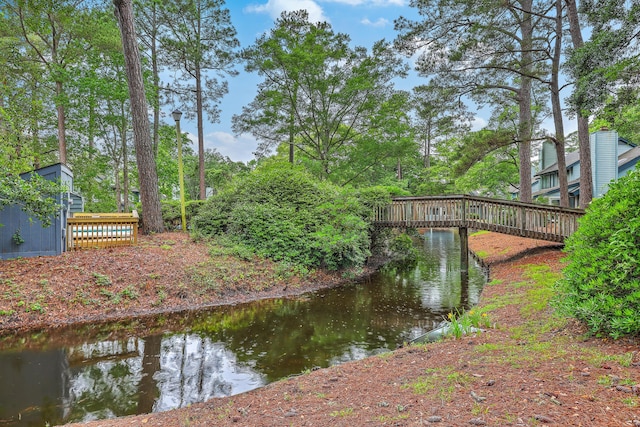 1115 Shadow Lake Cir, Mount Pleasant, SC 29464 - view of property's community